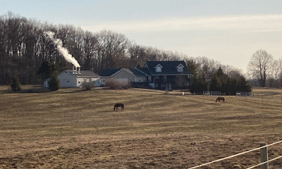 Fox Family Farm