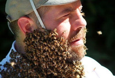 Philadelphia Bee Co.