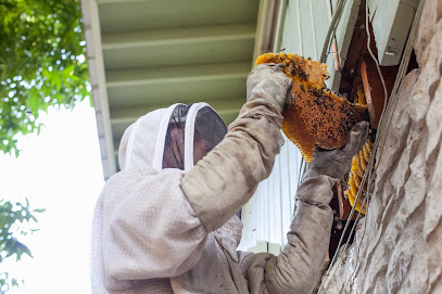 ATX Bee Removal LLC
