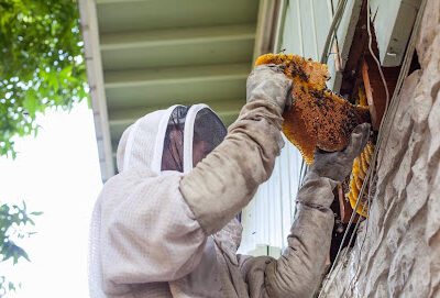 ATX Bee Removal LLC