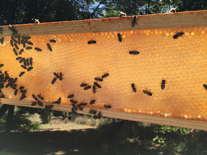 Soil and Hive