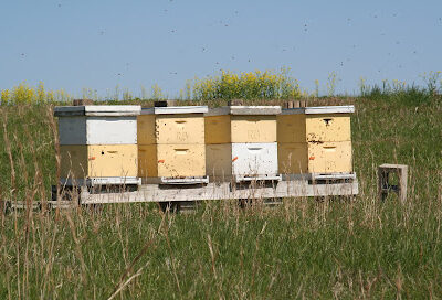 Riverbend Honey
