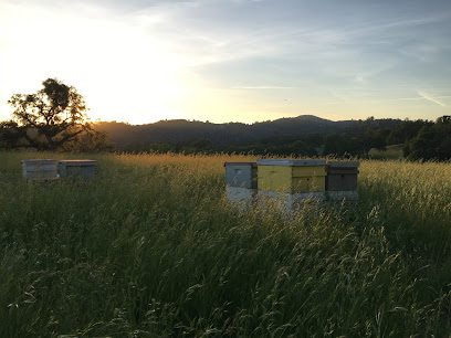 Dustys Bees