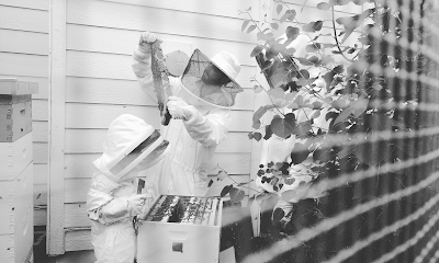 Camas HoneyBee Company