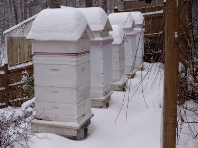 Waterside Cottage Garden and Apiary