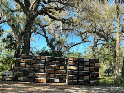 Indian Summer Honey Farm