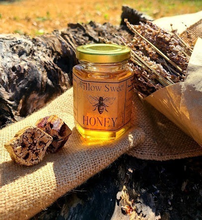 Willow Sweet Honey