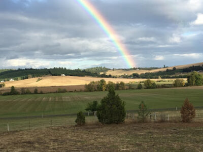 Jovial Farm