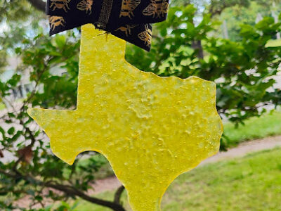 Sailors Moon Honey Farm