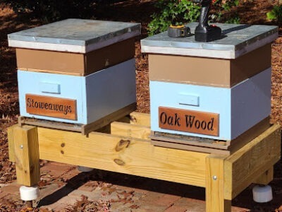 Gs Bees NC