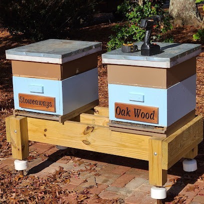 Gs Bees NC