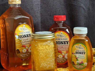 Backyard Apiaries