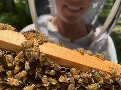 Bikini Bee Company