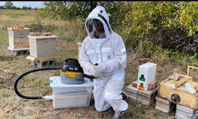 Tru Bee Removal