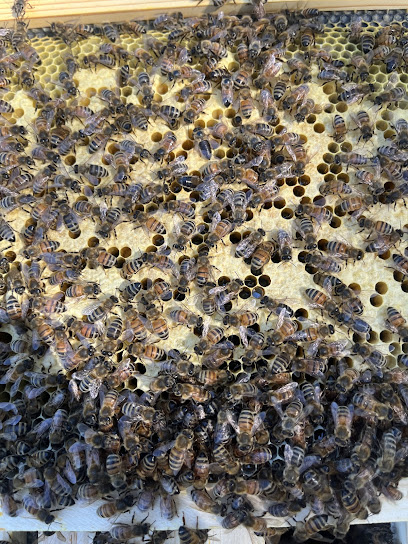 Lewis Beekeeping & Apiaries