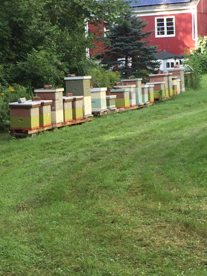 Northeast Bees