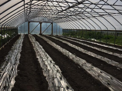 Wagoner Bees & Produce