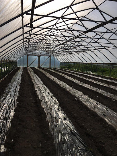 Wagoner Bees & Produce