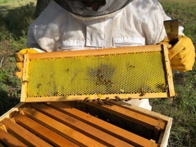 Beeloved Honey
