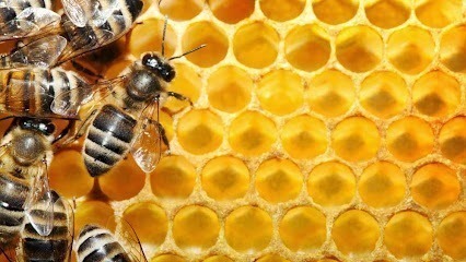 Schultz Honey & Wax Inc.