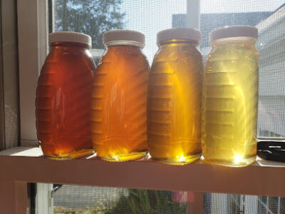 Gleaner Apiary