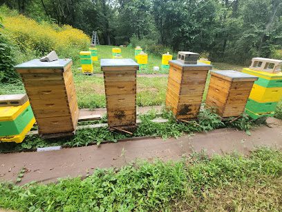 Royals bees honey