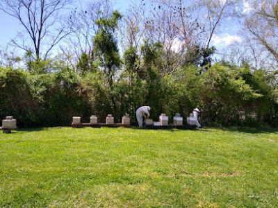 Sims Honey and Bee Farm