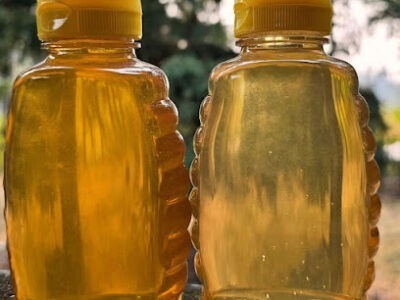 Bald Hill Honey Co.