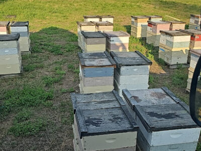 Arlee Apiaries