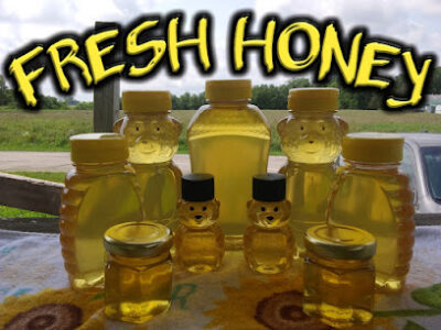 Blanchard's Bees