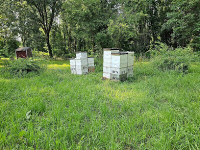 RC's Bees LLC