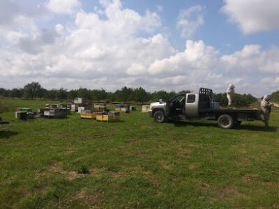 Southwest Florida Honey