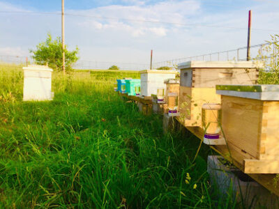 Dana Bee Farm
