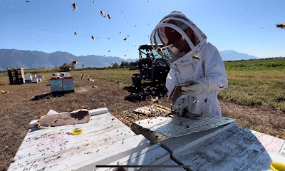 Barkers Bees & Honey LLC