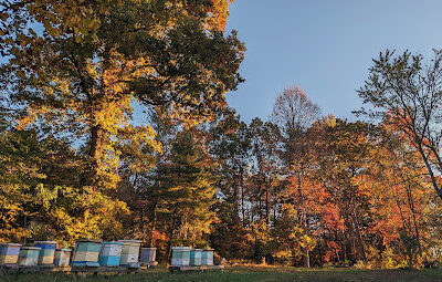 Chickabee Hill Farm