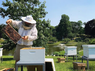 Astor Apiaries