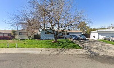 Resting Bee Face Co.