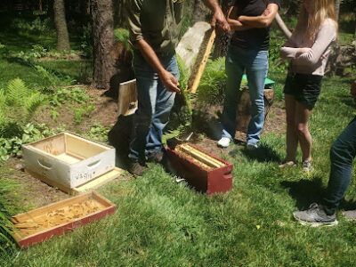 Turtlebee Farms