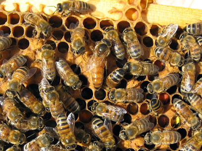 H & R Apiaries and Roberts Bee Company