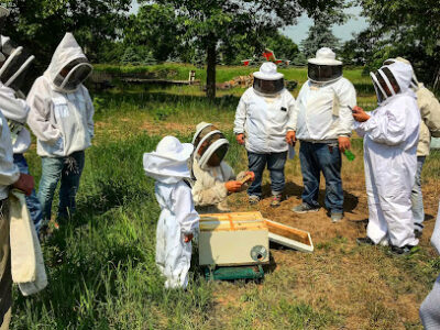 Hickory Tree Farm Apiaries