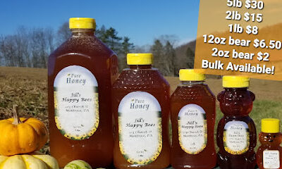 Jill's Happy Bees