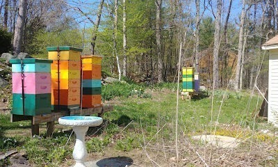 Rocky Hill Apiaries