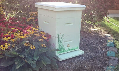 Honeybee Headquarters