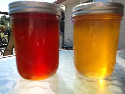 Robins Nest Retreat Apiary LLC