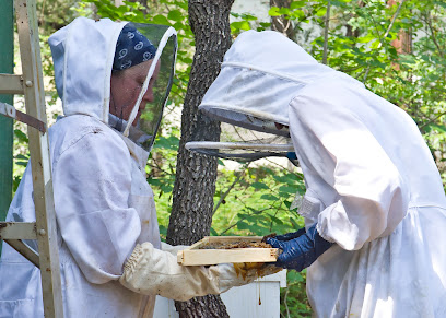 Mielke & Honey Bees