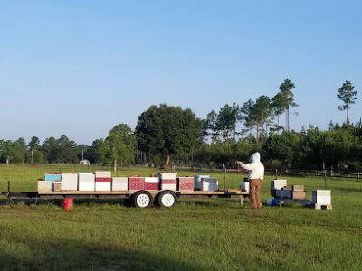 St. Marys Bee Ranch