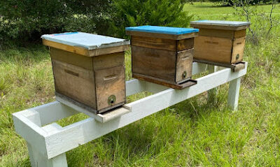 Ringer Apiaries