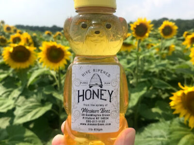 Mesmer Bees