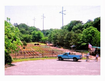 Organics Today Farm