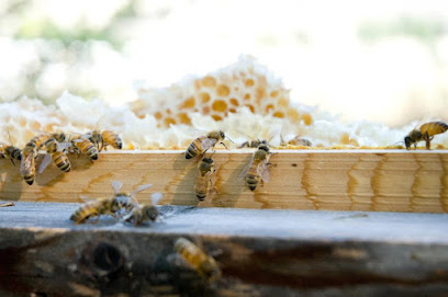 The Honey Jar